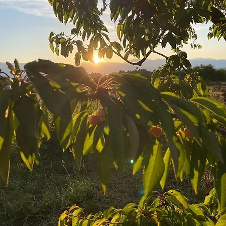 בית הארחה Nena Dashuri Agroturizem 4*