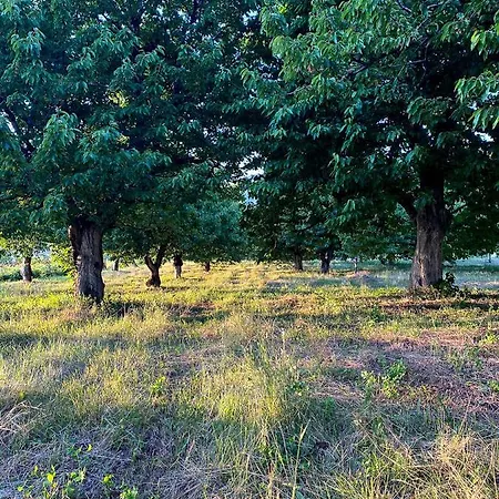 Nena Dashuri Agroturizem 4* Peshkopia