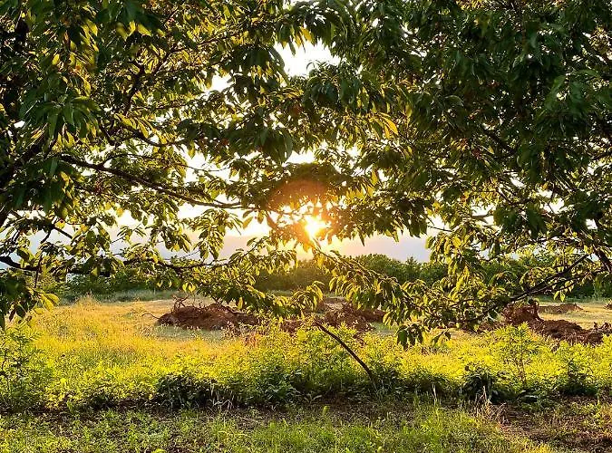 Nena Dashuri Agroturizem Konukevi Peshkopi