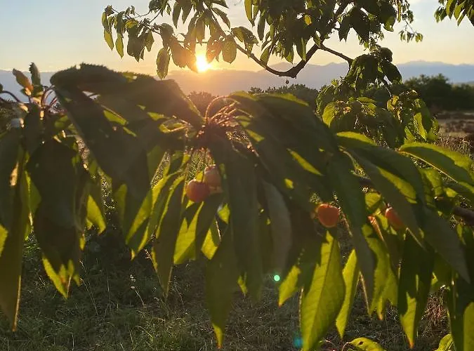 Penzion Nena Dashuri Agroturizem 4*