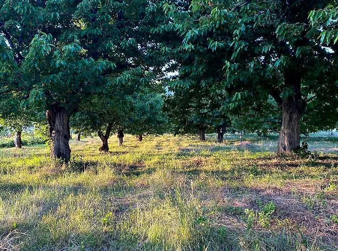 Nena Dashuri Agroturizem 4* Peshkopi