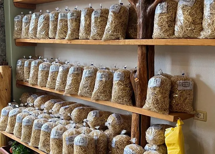 Nena Dashuri Agroturizem Penzion