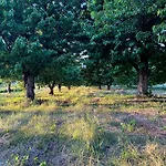 Nena Dashuri Agroturizem 4* Peshkopi