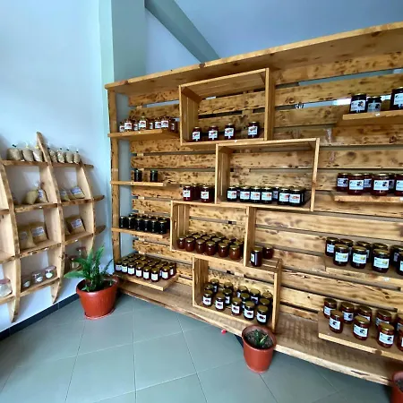 Πανσιόν Nena Dashuri Agroturizem