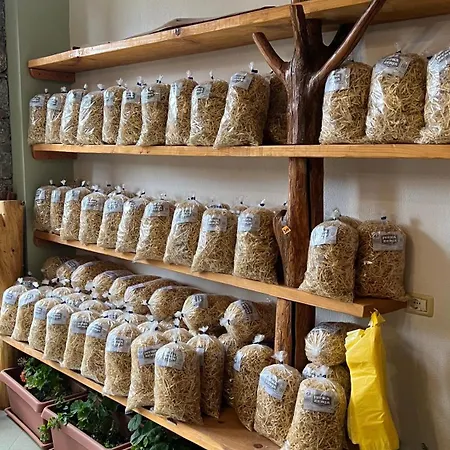 Nena Dashuri Agroturizem Гостевой дом